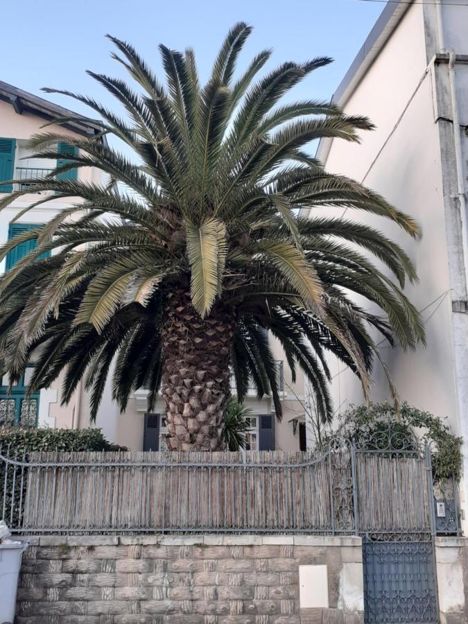 Dax A Pied! T1 2 Etoiles Centre Ville Balcon Exterior photo